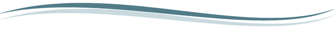 image-297098-divider.png